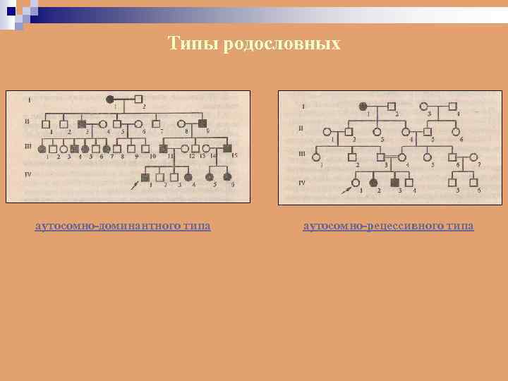 Типы родословных аутосомно-доминантного типа аутосомно-рецессивного типа 