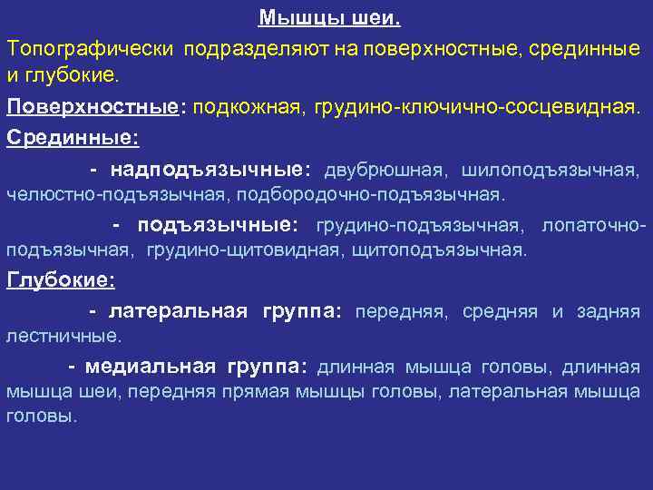 Мышцы шеи. Топографически подразделяют на поверхностные, срединные и глубокие. Поверхностные: подкожная, грудино-ключично-сосцевидная. Срединные: -