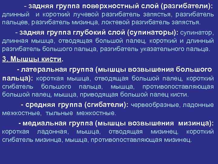 - задняя группа поверхностный слой (разгибатели): длинный и короткий лучевой разгибатель запястья, разгибатель пальцев,