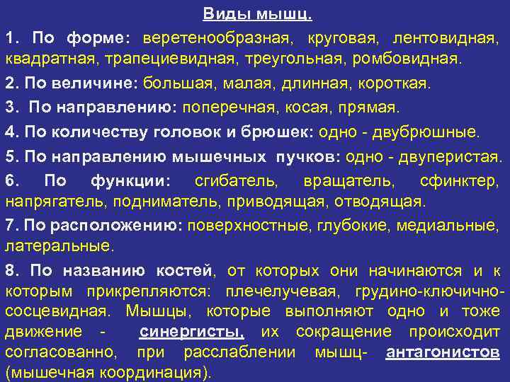 Виды мышц. 1. По форме: веретенообразная, круговая, лентовидная, квадратная, трапециевидная, треугольная, ромбовидная. 2. По