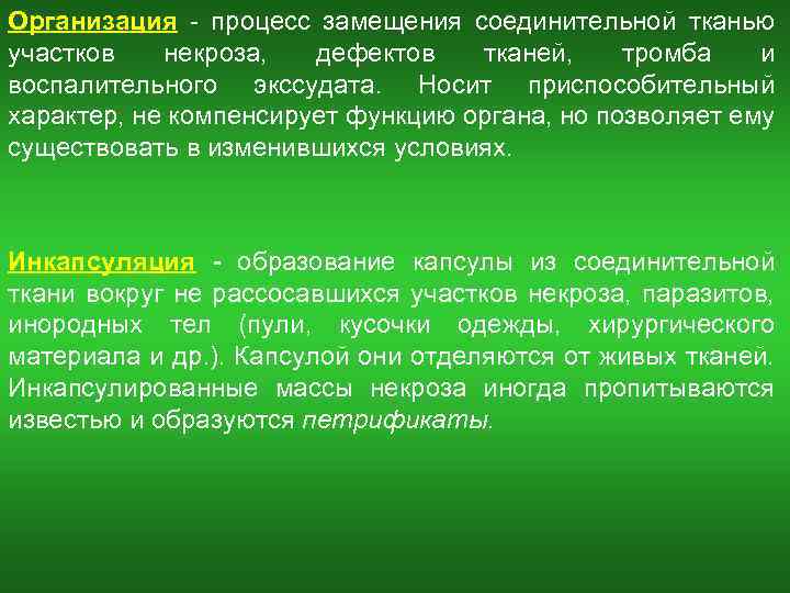 Организация - процесс замещения соединительной тканью участков некроза, дефектов тканей, тромба и воспалительного экссудата.