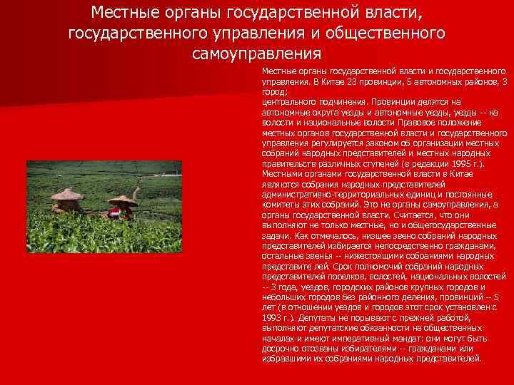 Местные органы государственной власти, государственного управления и общественного самоуправления Местные органы государственной власти и