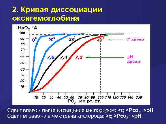 2. Кривая диссоциации оксигемоглобина Сдвиг влево - легче насыщение кислородом: <t; <Pco 2; >p.