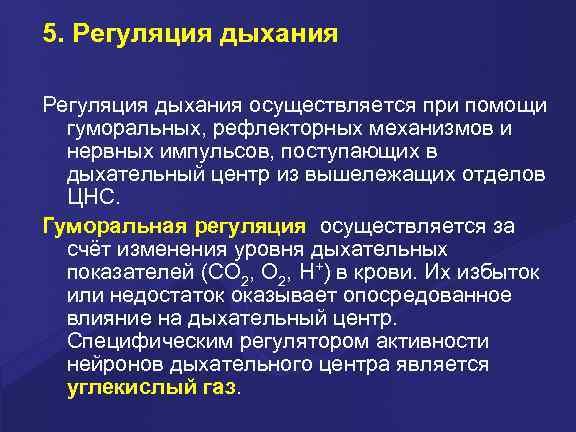 5. Регуляция дыхания осуществляется при помощи гуморальных, рефлекторных механизмов и нервных импульсов, поступающих в