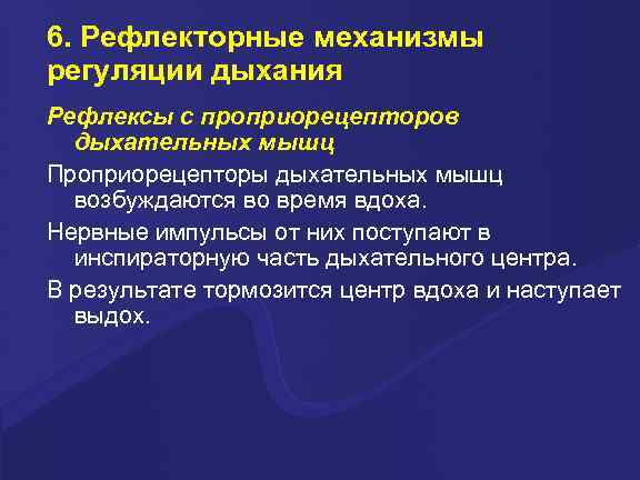 6. Рефлекторные механизмы регуляции дыхания Рефлексы с проприорецепторов дыхательных мышц Проприорецепторы дыхательных мышц возбуждаются