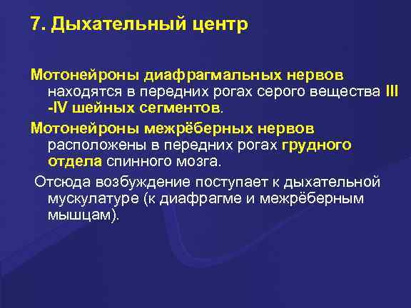 7. Дыхательный центр Мотонейроны диафрагмальных нервов находятся в передних рогах серого вещества III -IV