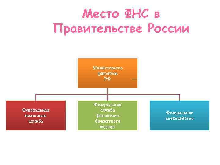 Место ФНС в Правительстве России Министерство финансов РФ Федеральная налоговая служба Федеральная служба финансовобюджетного