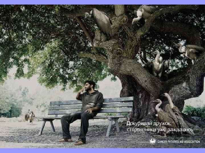 Докуривай дружок, стервятники уже заждались 