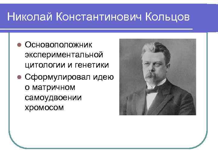 Ученые генетики. Н.К.Кольцова вклад в генетику. Николай Константинович Кольцов вклад в генетику. Ученые изучающие генетику. Кольцов генетик вклад.