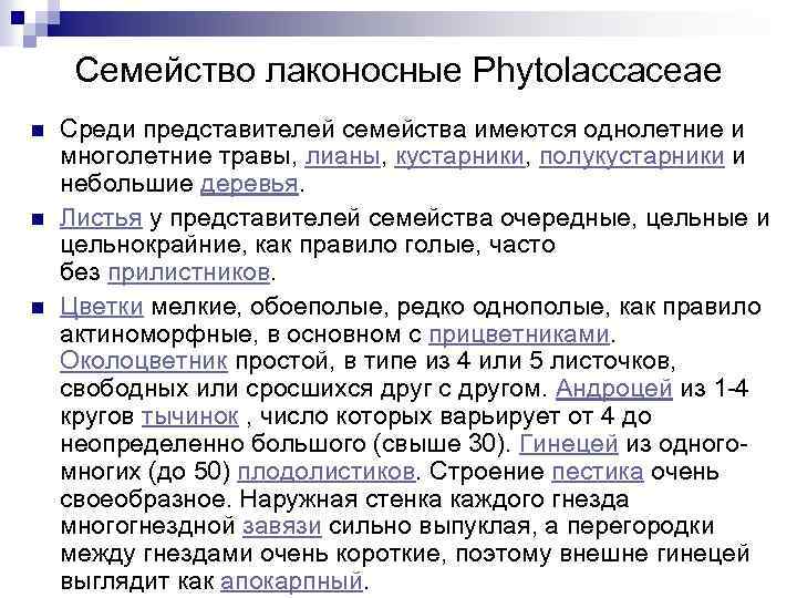 Семейство лаконосные Phytolaccaceae n n n Среди представителей семейства имеются однолетние и многолетние травы,