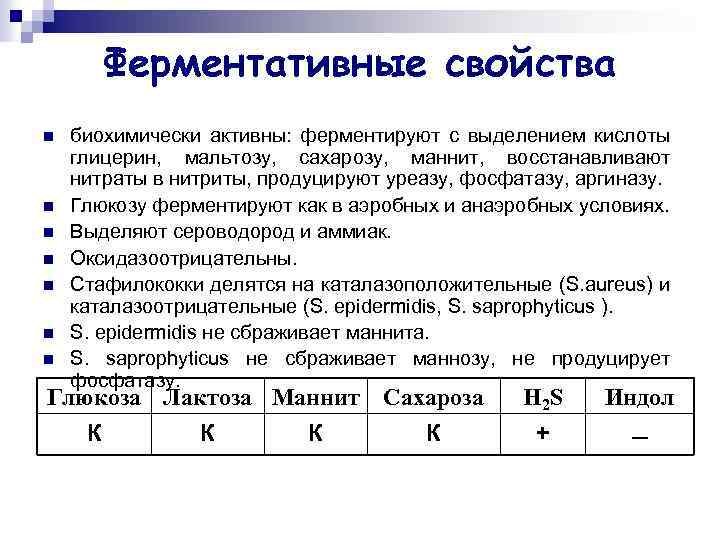 Ферментативные свойства n n n n биохимически активны: ферментируют с выделением кислоты глицерин, мальтозу,