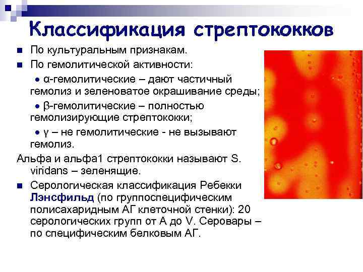 Классификация стрептококков По культуральным признакам. n По гемолитической активности: α-гемолитические – дают частичный гемолиз