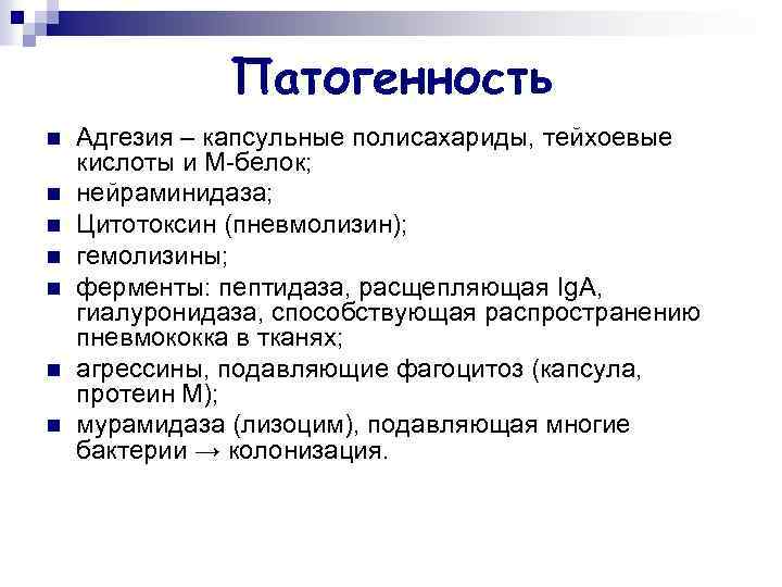 Патогенность n n n n Адгезия – капсульные полисахариды, тейхоевые кислоты и М-белок; нейраминидаза;