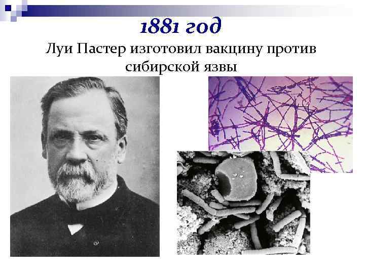 1881 год Луи Пастер изготовил вакцину против сибирской язвы 