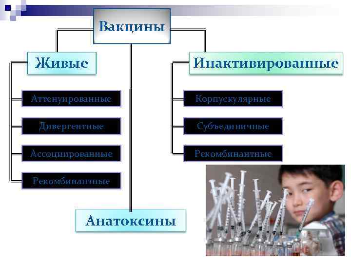 Вакцины Живые Инактивированные Аттенуированные Корпускулярные Дивергентные Субъединичные Ассоциированные Рекомбинантные Анатоксины 