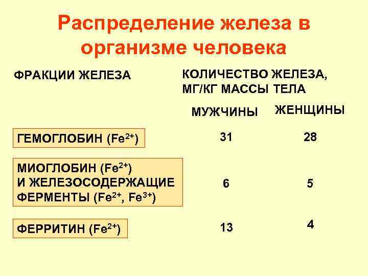 Необходимое количество железа в сутки