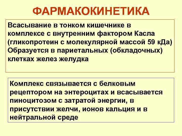 ФАРМАКОКИНЕТИКА Всасывание в тонком кишечнике в комплексе с внутренним фактором Касла (гликопротеин с молекулярной