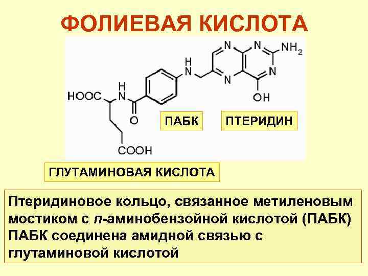 Фолиевый цикл. ПАБК парааминобензойная кислота. Составные части молекулы фолиевой кислоты. Парааминобензойная кислота формула. Парааминобензойной кислоты (ПАБК).