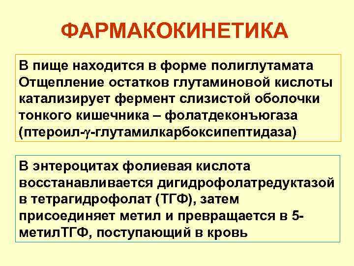 ФАРМАКОКИНЕТИКА В пище находится в форме полиглутамата Отщепление остатков глутаминовой кислоты катализирует фермент слизистой