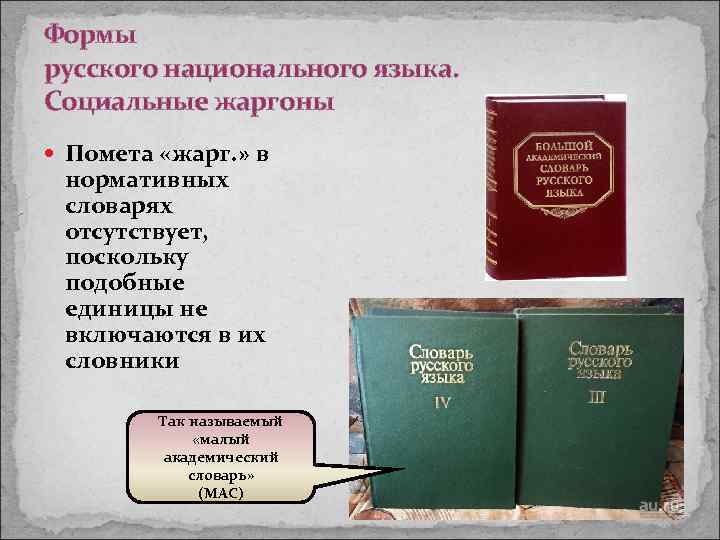 Формы русского национального языка. Социальные жаргоны Помета «жарг. » в нормативных словарях отсутствует, поскольку