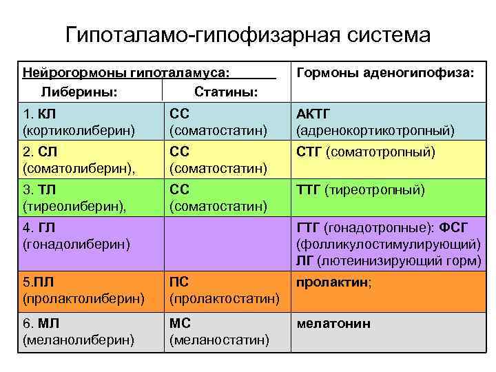 Гипоталамо гипофизарная система Нейрогормоны гипоталамуса: Либерины: Статины: Гормоны аденогипофиза: 1. КЛ (кортиколиберин) СС (соматостатин)