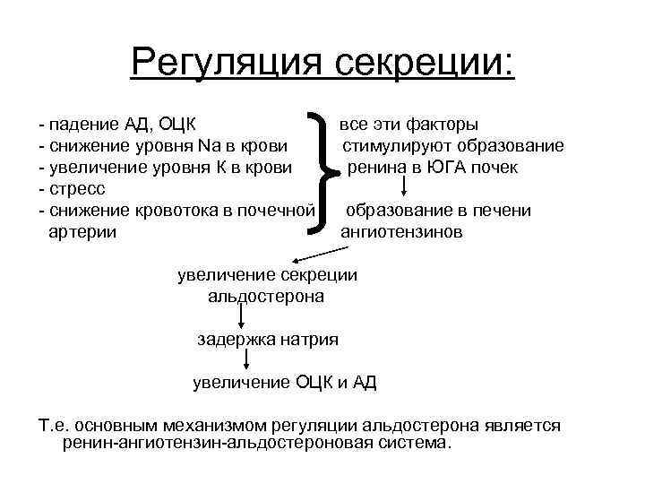 Регуляция секреции: падение АД, ОЦК все эти факторы снижение уровня Na в крови стимулируют