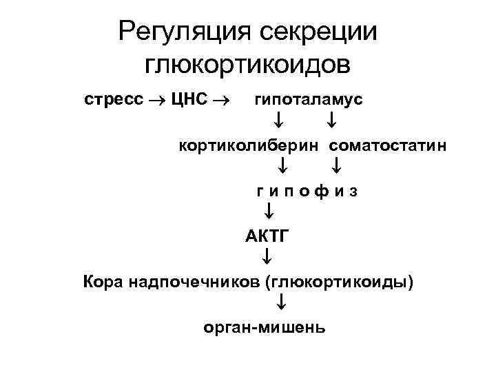 Регуляция секреции глюкортикоидов стресс ЦНС гипоталамус кортиколиберин соматостатин гипофиз АКТГ Кора надпочечников (глюкортикоиды) орган-мишень