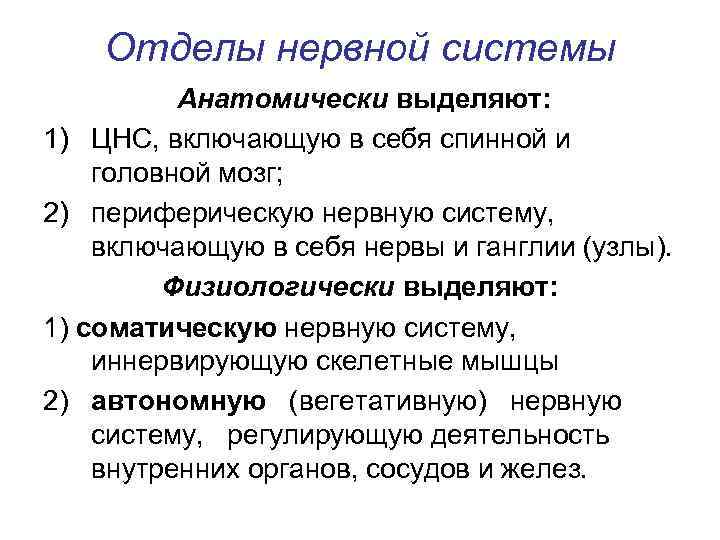 Отделы нервной системы Анатомически выделяют: 1) ЦНС, включающую в себя спинной и головной мозг;