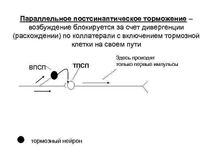 Латеральное торможение схема