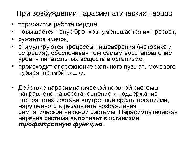 При возбуждении парасимпатических нервов • • тормозится работа сердца, повышается тонус бронхов, уменьшается их