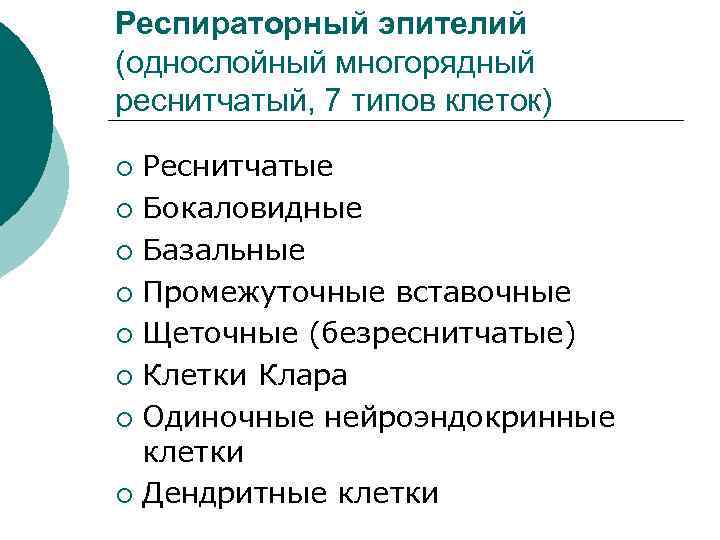 Респираторный эпителий (однослойный многорядный реснитчатый, 7 типов клеток) Реснитчатые ¡ Бокаловидные ¡ Базальные ¡