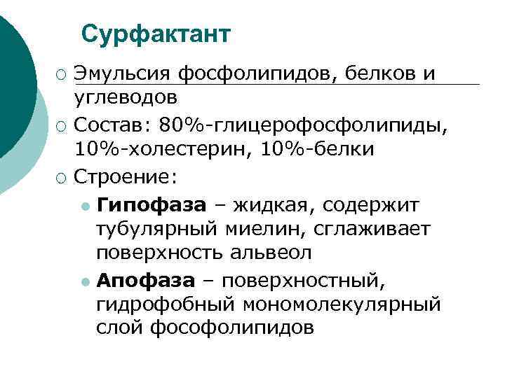 Сурфактант ¡ ¡ ¡ Эмульсия фосфолипидов, белков и углеводов Состав: 80%-глицерофосфолипиды, 10%-холестерин, 10%-белки Строение: