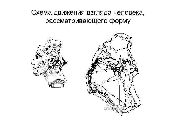 Схема движения взгляда человека, рассматривающего форму 
