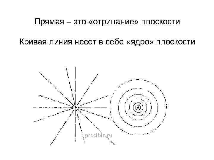 Прямая – это «отрицание» плоскости Кривая линия несет в себе «ядро» плоскости 