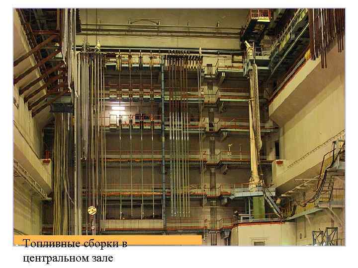 Топливные сборки в центральном зале 