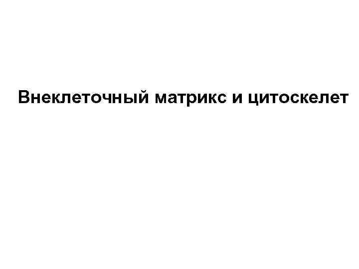 Внеклеточный матрикс и цитоскелет 