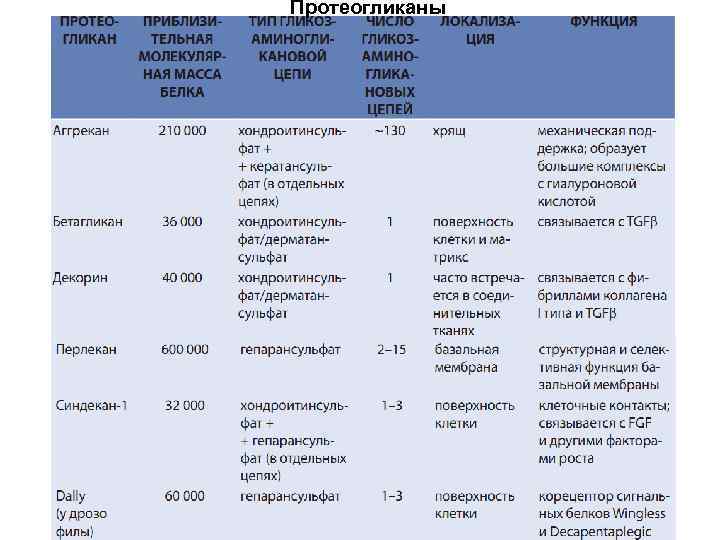 Протеогликаны 