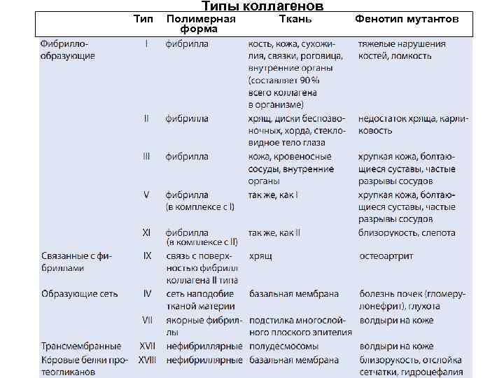 Тип Типы коллагенов Полимерная форма Ткань Фенотип мутантов 