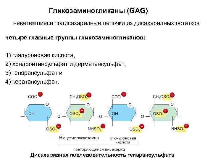 Схема катаболизма гликозаминогликанов