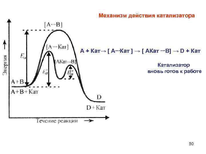 Механизм действия катализатора А + Кат→ [ А∙∙∙Кат ] → [ АКат ∙∙∙В] →