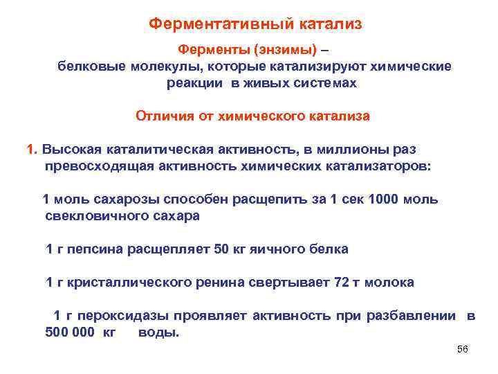 Ферментативный катализ Ферменты (энзимы) – белковые молекулы, которые катализируют химические реакции в живых системах