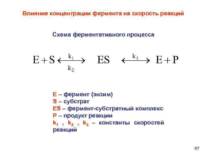 Влияние концентрации фермента на скорость реакций Схема ферментативного процесса Е – фермент (энзим) S