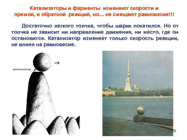 Катализаторы и ферменты изменяют скорости и прямой, и обратной реакций, но… не смещают равновесие!!!