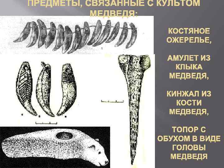 ПРЕДМЕТЫ, СВЯЗАННЫЕ С КУЛЬТОМ МЕДВЕДЯ: КОСТЯНОЕ ОЖЕРЕЛЬЕ, АМУЛЕТ ИЗ КЛЫКА МЕДВЕДЯ, КИНЖАЛ ИЗ КОСТИ