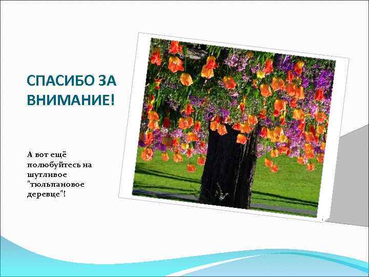 СПАСИБО ЗА ВНИМАНИЕ! А вот ещё полюбуйтесь на шутливое 