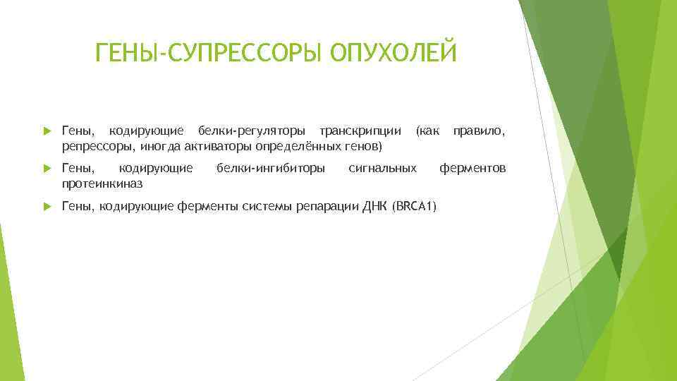 ГЕНЫ-СУПРЕССОРЫ ОПУХОЛЕЙ Гены, кодирующие белки-регуляторы транскрипции репрессоры, иногда активаторы определённых генов) Гены, кодирующие протеинкиназ