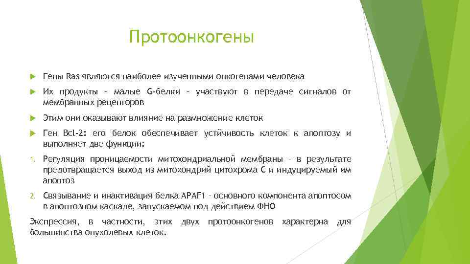 Протоонкогены Гены Ras являются наиболее изученными онкогенами человека Их продукты – малые G-белки –