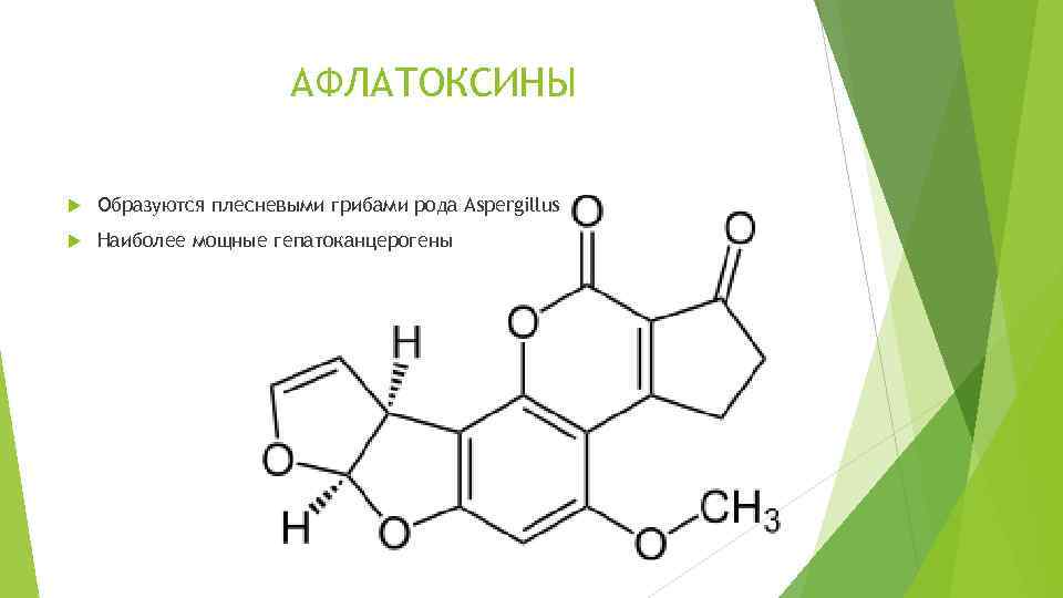 АФЛАТОКСИНЫ Образуются плесневыми грибами рода Aspergillus Наиболее мощные гепатоканцерогены 
