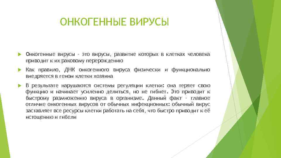 ОНКОГЕННЫЕ ВИРУСЫ Онкогенные вирусы – это вирусы, развитие которых в клетках человека приводит к