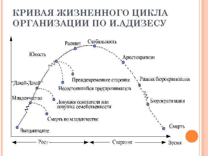 Этапы становление организации. Кривая жизненного цикла организации по Адизесу. Этапы жизненного цикла компании по Адизеса. Стадии жизненного цикла организации Адизес. Жизненного цикла организации (ЖЦО).